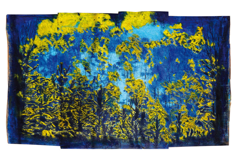 Vol au dessus d'un nid de coucou