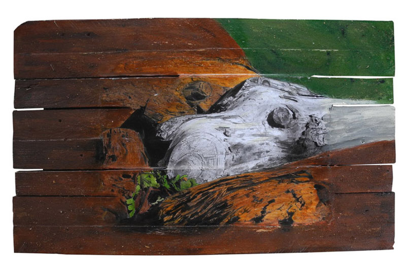 Nature imagianire, Centre Aéré, Nyons