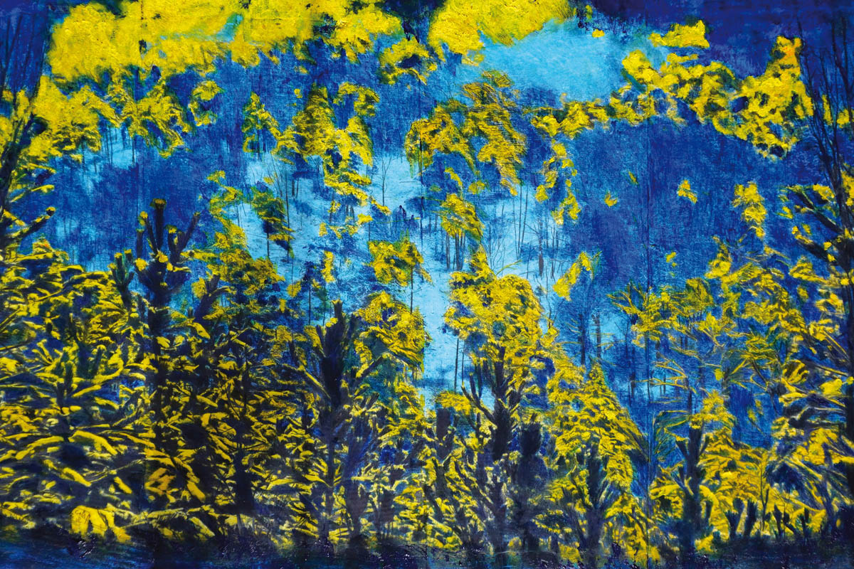 Vol au-dessus d'un nid de coucou. Une forêt prise de haut sous la neige. Une ambiance de nuit, de pleine lune. Les arbres, les pins, sont bleus, le sol est jaune, éclairé par la lune. Une photo prise en noir et blanc, repeinte manuellement aux pastels, crayons de couleurs, peinture. Une Œuvre sur une palissade faite en bois de palette. Un tableau réalisé par Gaïa du Rivau, photographe, plasticienne, photographiste à Nyons
